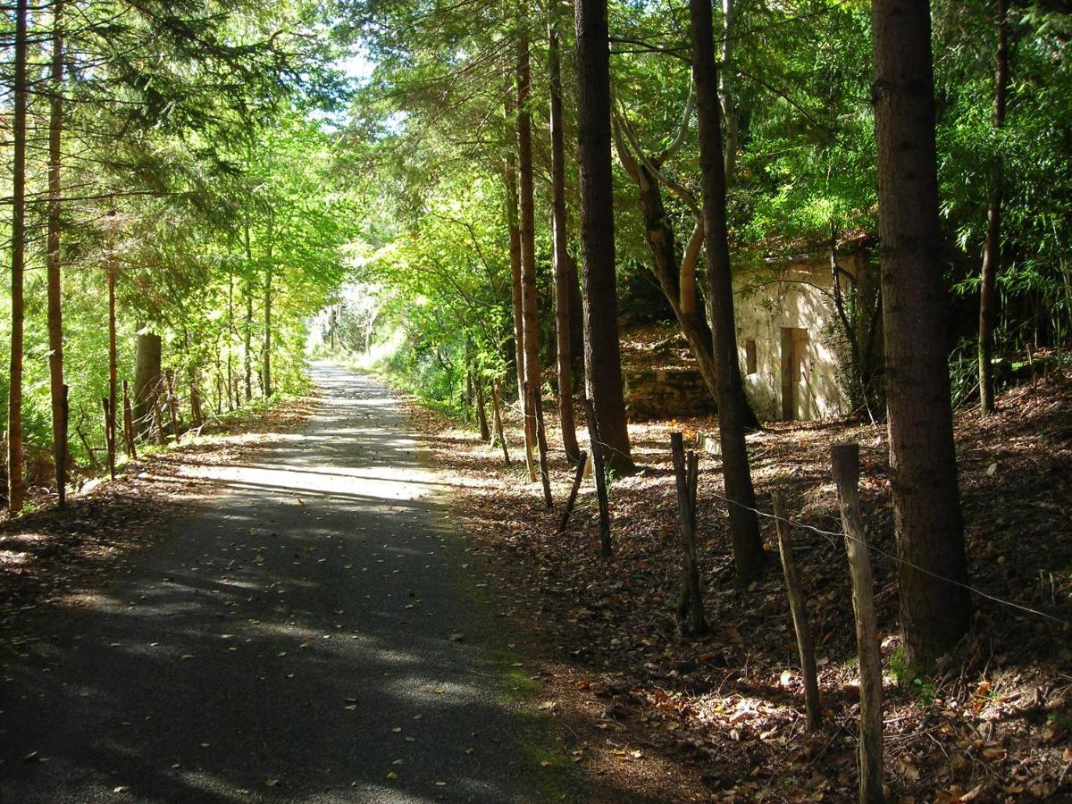 Logis Le Belle Rive Najac
